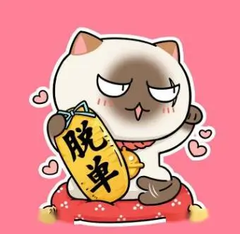 极光旅人